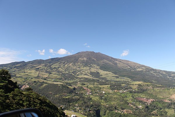 La Revolución de Las Plantas