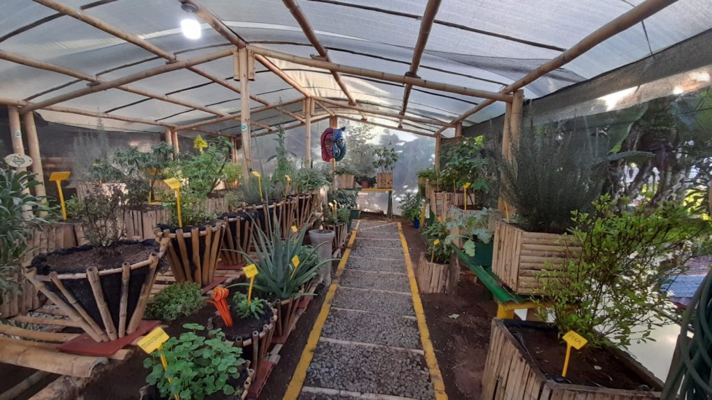 DESTINO DE PAZ CERTIFICADO