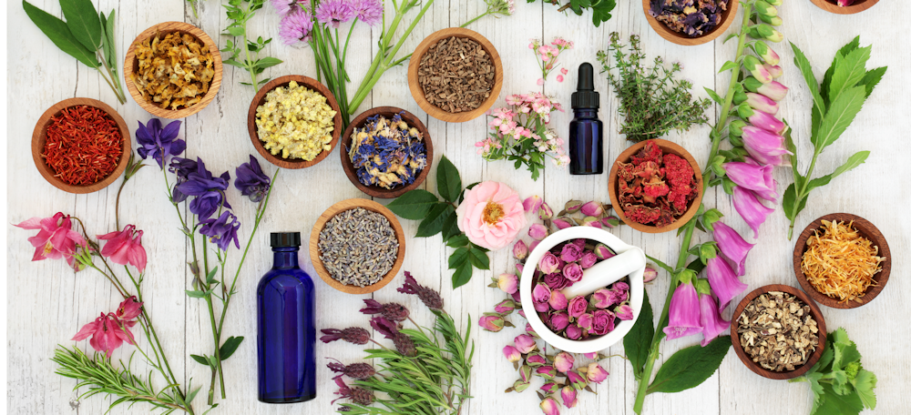 ¿QUE ES FITOTERAPIA?