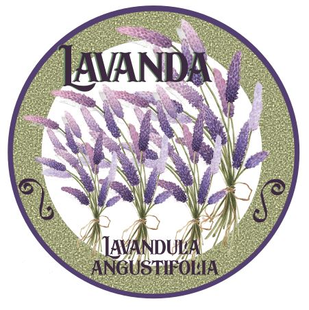 Anímese con la aromaterapia 